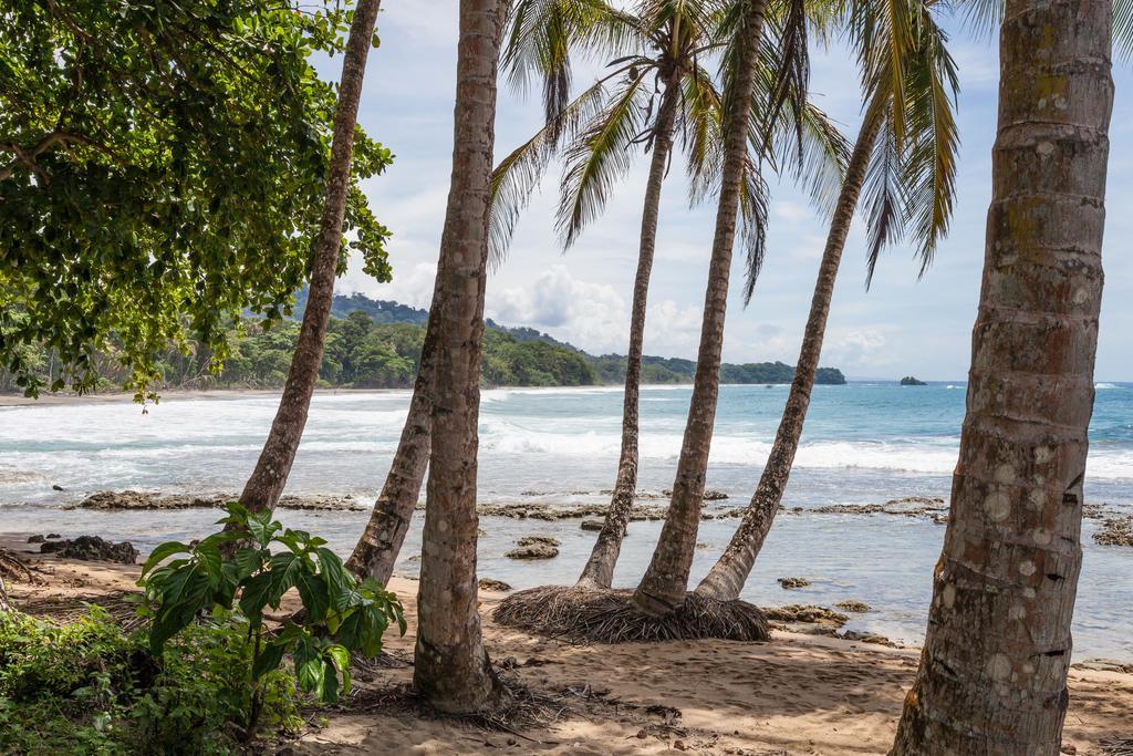 Relax Natural Village Adults Only Puerto Viejo de Talamanca Buitenkant foto