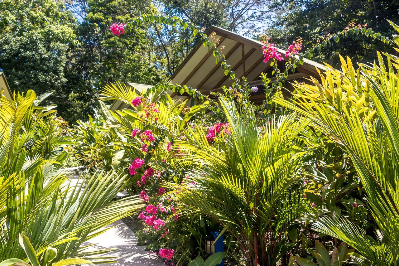 Relax Natural Village Adults Only Puerto Viejo de Talamanca Buitenkant foto